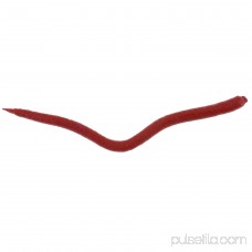 Berkley Gulp! 35g Extruded Bloodworm Soft Bait, Bloody Iridescent 555152816